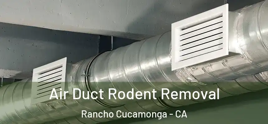  Air Duct Rodent Removal Rancho Cucamonga - CA
