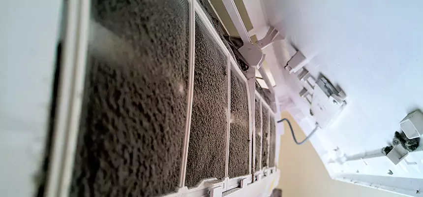 Preventive Air Duct Bacteria Removal in Rancho Cucamonga