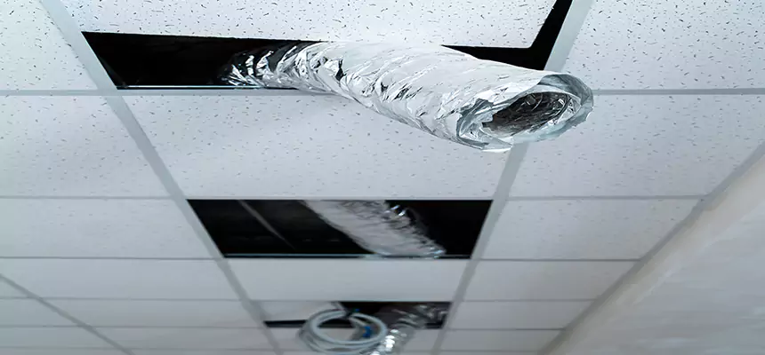 Affordable HVAC Sanitizing After Pest Removal in Rancho Cucamonga