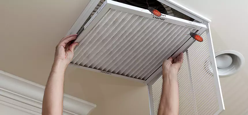 Our Insect Removal from Air Ducts Services in Rancho Cucamonga, CA