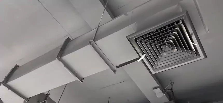 Our Pest Removal From Ducts Services in Rancho Cucamonga, CA