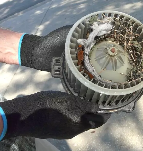 About Air Duct Mice Removal in Rancho Cucamonga, CA