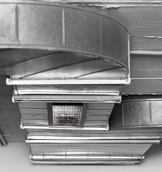 Professional Air Duct Pet Hair Removal in Rancho Cucamonga, CA