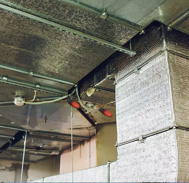 Why Homeowners & Businesses Trust Us in Rancho Cucamonga, CA?