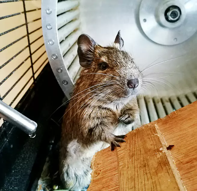 Why Homeowners & Businesses Trust Us Rancho Cucamonga, CA