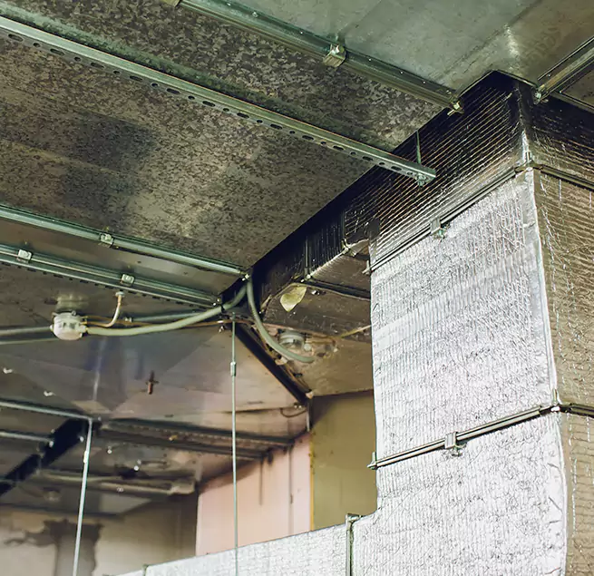 Why Homeowners & Businesses Trust Us in Rancho Cucamonga, CA?